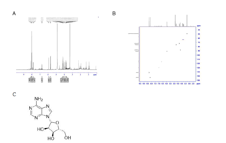 OC-1의 NMR 확인 1H (A), 2D HSQC (B), 구조 (C)