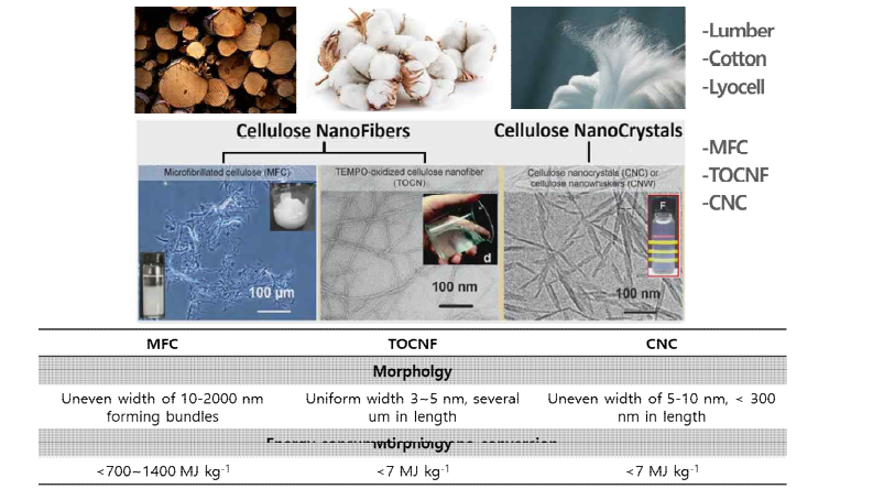 다양한 원소재를 기반으로 한 나노 셀룰로오스 분류