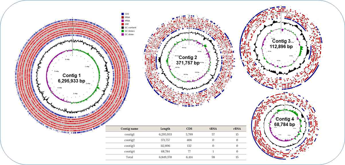 DC2의 circular map