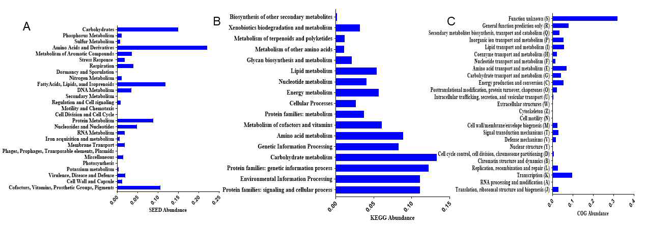 DC2의 SEED subsystem categorization (A), KEGG category (B) and COG abundance