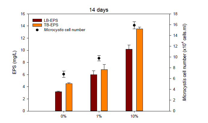 Microcosm 14일 배양 시료의 Microcystis 세포수, LB-EPS와 TB-EPS 농도변화