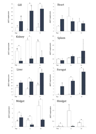 The changes in the gene expressions profiles for sodium and chloride dependent taurine transporter (SLC6A6) in gill, kidney and liver of rainbow trout Oncorhynchus mykiss