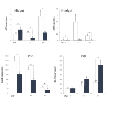 Differential modulations of cysteine dioxygenase (CDO) and cysteine sulfinic acid decarboxylase (CSD) in the liver of rainbow trout in respnse to salinity challenge