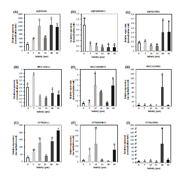 The changes in the gene expressions profiles for Na+/K+/2Cl−cotransporter1 (NKCC1), aquaporin3 (AQP3)andcystic fibrosis transmembrane conductance regulator (CFTR) in gill, kidney and liver of rainbow trout Oncorhynchus mykiss transferred from 0, 7, 14, 21 and 32 psu, as assessed by real-time PCR.