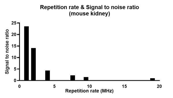 Repetition rate에 따른 SNR