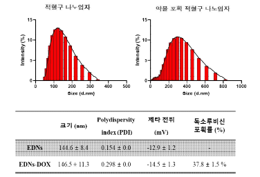 적혈구 나노입자에 약물 포획 전후 나노입자의 물리화학적 특성 변화 비교.