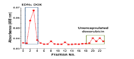 Size-exclusion chromatography를 이용한 독소루 비신 포획 적혈구막 나노입자 분리.