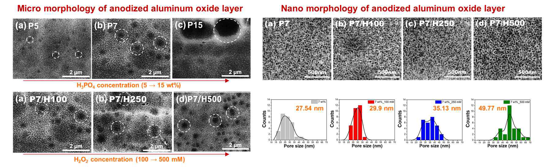 인산의 농도 및 과산화수소 첨가량의 변화에 따른 마이크로 기공(왼쪽)과 나노 기공(오른쪽)의 전자현미경 이미지