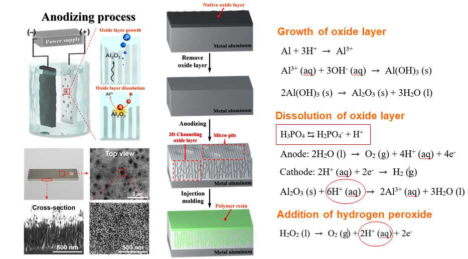 양극산화 알루미늄의 표면 구조 분석(왼쪽)과 양극산화 공정의 메커니즘 해석(오른쪽)