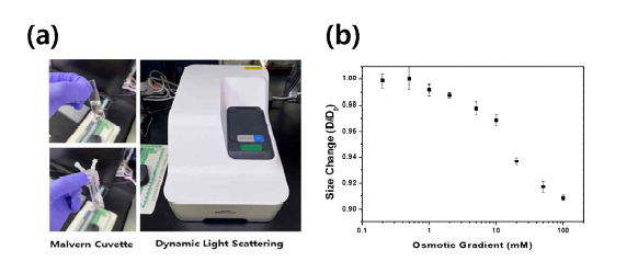 (a) 설치된 동적관산란 방식 입도분석기(DLS/ELS) (b) 삼투압 변화에 따른 리포좀 소포체의 크기 변화