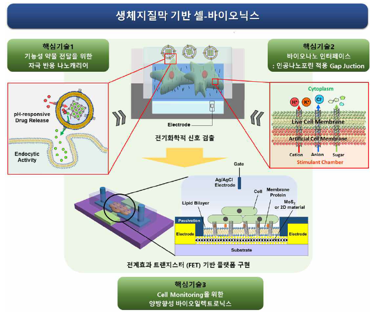 연구 목표 개략도