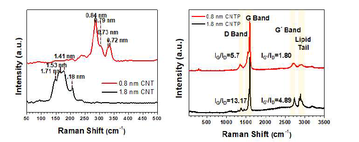 Raman Spectroscopy를 통한 나노튜브의 규격 및 저결함성 분석