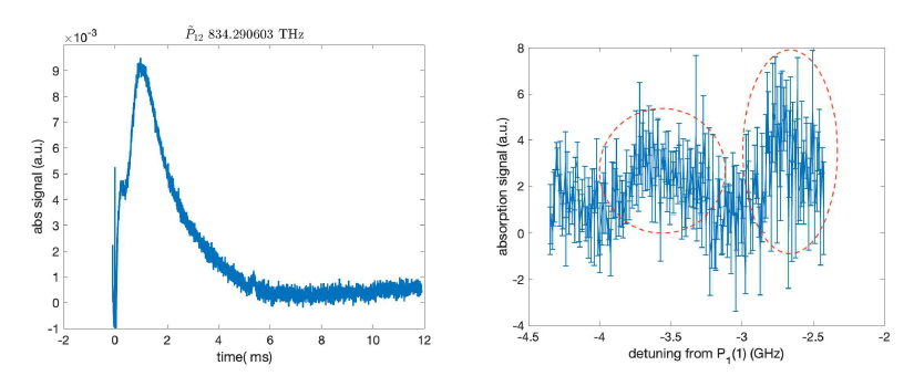 25Mg19F의 흡수 신호. (왼쪽) ablation직후의 흡수 신호. y축은 흡수 비율을 나타낸다. (오른쪽) 25Mg19F의 레이저 냉각용 전이의 흡수 스펙트럼. 아직 SN이 좋지 않으나, 25Mg19F의 미세구조를 확인할 수 있다. 추후 분자빔을 이용하여 더 정확한 스펙트럼을 관측할 계획이다