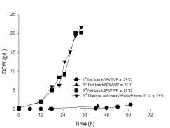 개량 균주(ΔPWWP)의 생장준비(lag phase) 시간