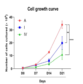 Collagenase의 종류에 따른 세포 성장률
