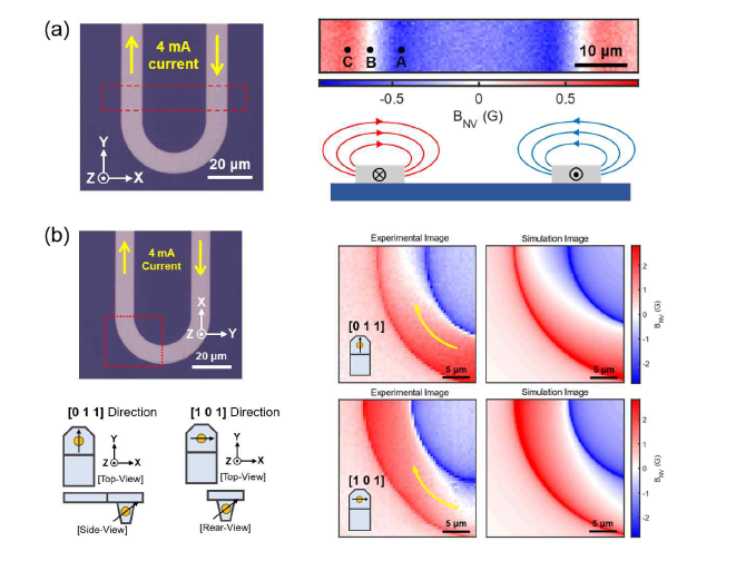 U자 형태의 Pt 와이어를 이용한 전류 이미징 실험. (a) Pt 와이어의 직선 구간을 흐르는 전류 에 의해 발생하는 Oersted 자기장을 이미징함. (b) Pt 와이어의 곡선 구간을 흐르는 전류 분포, 방 향 등을 서로 다른 NV 센터를 이용하여 이미징함.