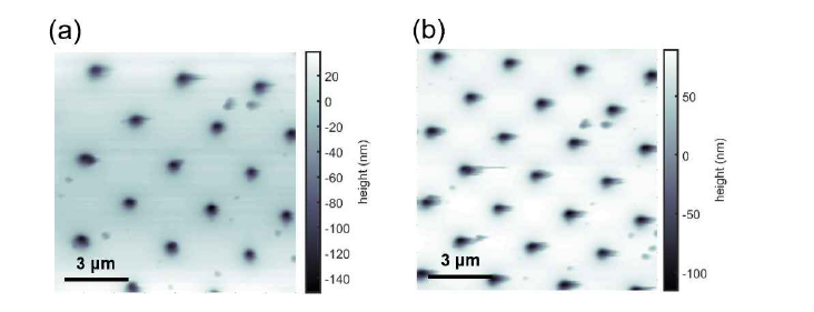 Piezo-hysteresis 보정 전후의 AFM topography 이미지 비교. (a) 보정 전, (b) 보정 후 이미지