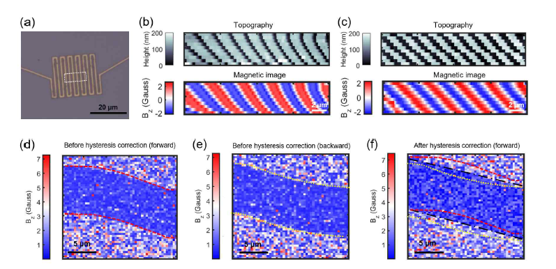 Piezo-hysteresis 보정 전후의 자기장 이미지 비교. (a) 전류 소자의 광학 이미지. (b) 보정 전, (c) 보정 후 topography 및 자기장 이미지. (d)-(f) 하드디스크 자기장 이미지. 보정 전 forward (d), backward (e) 자기장 이미지와 보정 후 (f) 자기장 이미지.