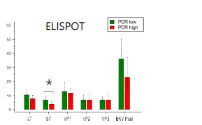 Comparison of BKV-ELISPOT results between BKV infected KTRs with high and low BK viral load