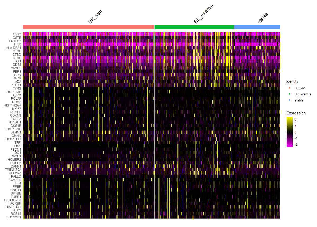 A Heatmap Showing the Gene Expression Profiles in gdT cells, platelets, FCGR3A monocytes, and CD16 monocytes among BK viremia, post-KT stable, and BK nephropathy (BKVAN) groups.