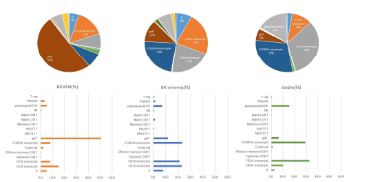 The proportion of subsets containing genes that are highly expressed in each of the BK nephropathy, BK viremia, and post-KT stable groups