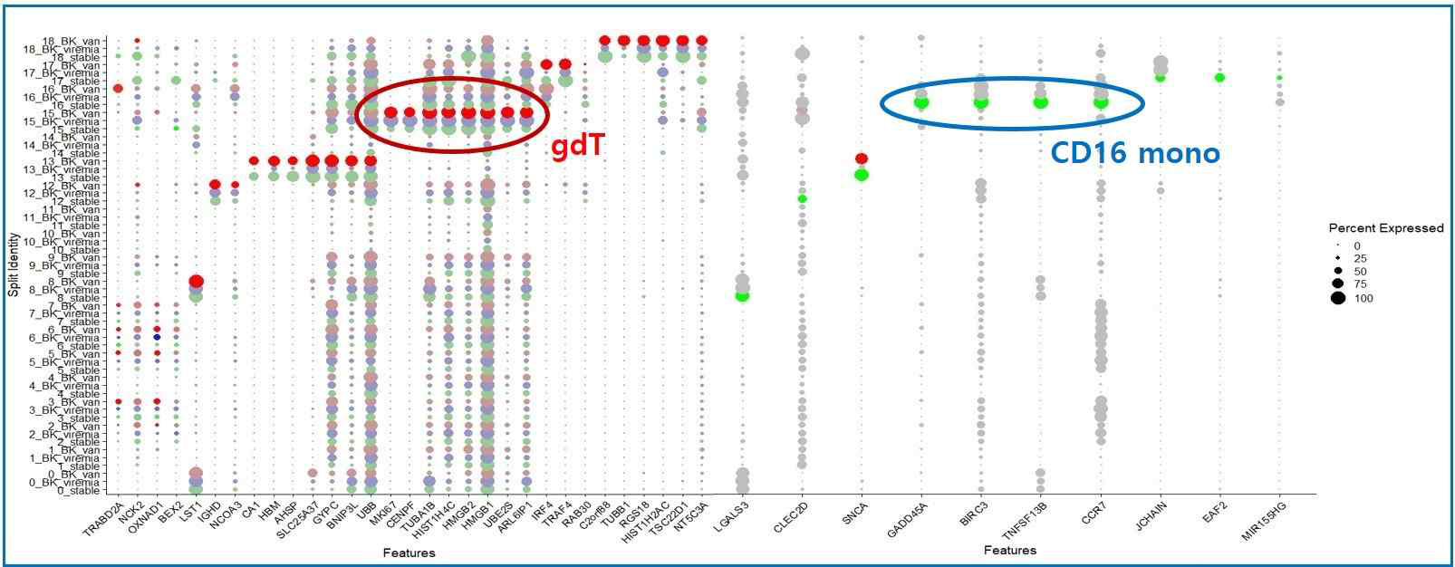 Differential gene expression between BK nephropathy and post-KT stable patients for specific genes.