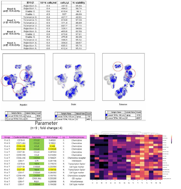 single cell (Ab seq, mRNA seq) analysis in KT patients (stable, rejection, tolerable)