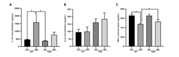 혈청 내 cytokines IL-1β (A), IL-6 (B) 및 TNF-α (C) 수준 비교 (ELISA). WT: wild-type mice, TLR4: toll-like receptor 4 mice, NC: normal chew feed, GD: gut dysbiosis by antibiotics. *p<0.05.