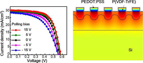 강유전체 PVDF를 이용한 실리콘 태양전지의 효율 상승