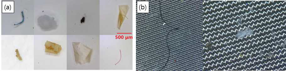 미세플라스틱의 표면 색 구분도(a : Li et al., 2020), b : This study)