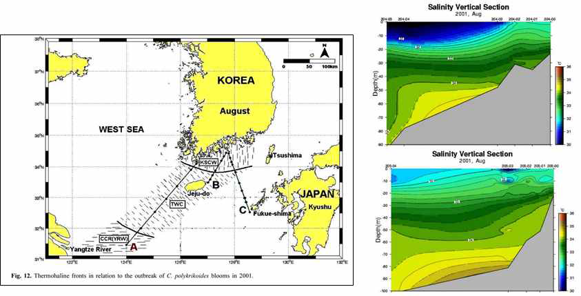 한국 남해안의 수온 및 염분 분포 연구 결과(Lee and Choi, 2009)