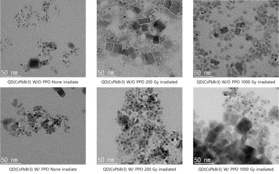 방사선 조사에 따른 전자현미경 영상. 상) 유기분자(PPO)가 추 가되지 않은 양자점도핑액체섬광체, 하) 유기분자가 추가된 양자점도핑 액체섬광체, 왼쪽부터 조사된 방사선량: 0 Gy, 200 Gy, 1000 Gy