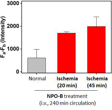 허혈 재관류 손상 모델의 소변에서 cysteine probe 효용성 확인