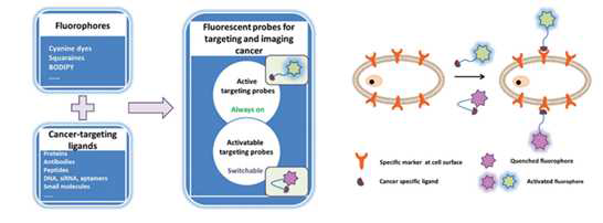 형광 프로브를 이용한 종양의 진단 기법 (Gao et al., 2017)