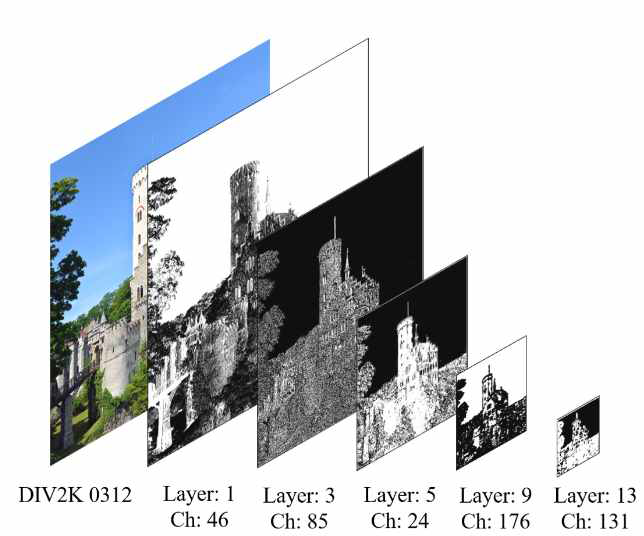 Layer feature maps.