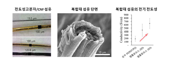 습식방사를 통한 전도성 고분자/셀룰로오스 나노섬유 미세섬유의 제조