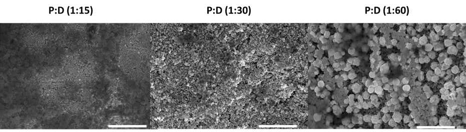 초박막 멜라닌:폴리도파민 복합재의 구성비율에 따른 전기화학 기반 나노구조 제어