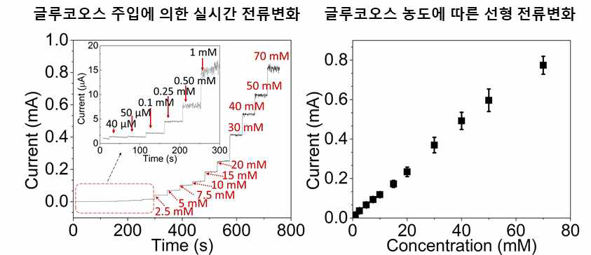 폴리도파민-멜라닌 전극의 글루코오스 농도에 따른 전류변화 측정