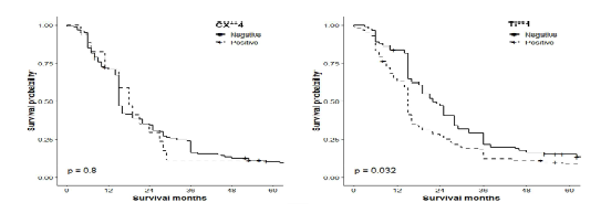 후보바이오마커의 단백발현 유무에 따른 전제 췌장암 환자의 생존율 (좌)CX**4 (우)TI**1