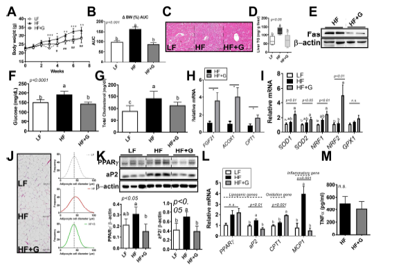 Ginger (Zingiber officinale) powder의 섭취가 식이로 유도된 Adipocyte remodeling 이 미치는 영향 (IJERPH 게재. 2021년 1월)