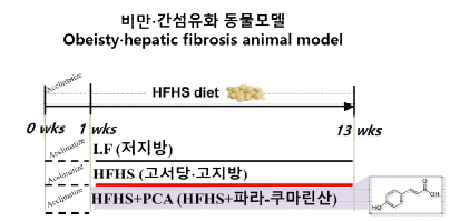 고서당·고지방 복합섭취 (HFHS)에 의한 비만간섬유화 동물모델