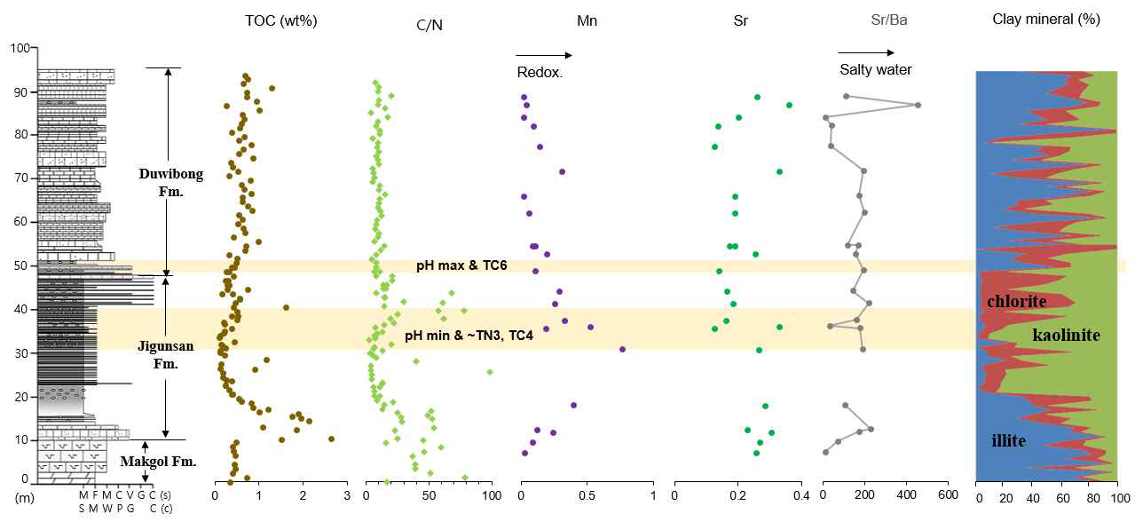 연구지역의 TOC, C/N, 점토광물 함량(Bang and Lee, 2020)과 Mn(mol/kg), Sr(mol/kg), Sr/Ba 결과.
