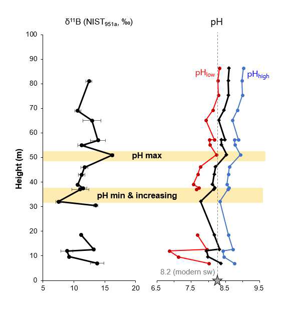 붕소 동위원소 결과와 pH 모델