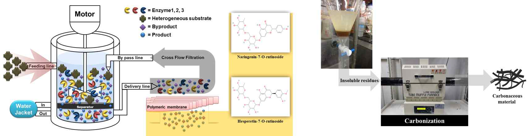 다효소 복합체 재사용 시스템(좌) 및 탄화소재 개발(우) 모식도