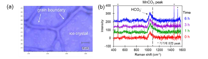 1 mM NaHCO3, 10 mM NaCl, 그리고 1 mM MnCl2를 포함한 얼음시료에 대한 (a) 광학현미경 이미지 (b) Raman 분석)