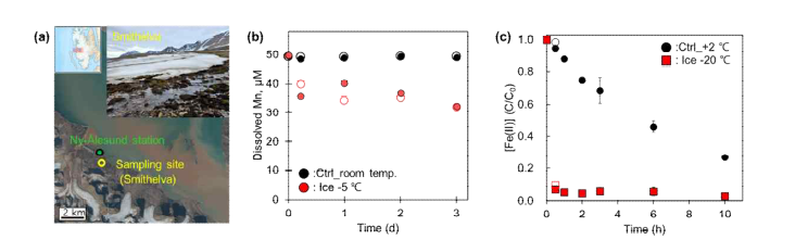 (a) 북극 자연수 시료채취 지역. 북극 자연수를 이용한 동결실험의 (b) 용존 망간 (c) 용존 Fe(II) 농도변화 ([Fe(II)]0= 100 μM, pH 7.0)
