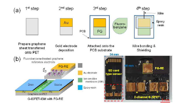 그래핀 기준전극 제조 공정(a) 및 그래핀 기준전극이 내재되어 있는 2-채널 G-ISFET(b)