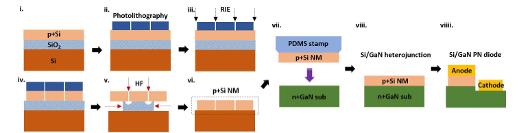 Si 나노멤브레인 전사를 통한 Si/GaN 이형접합 다이오드 제작 순서.