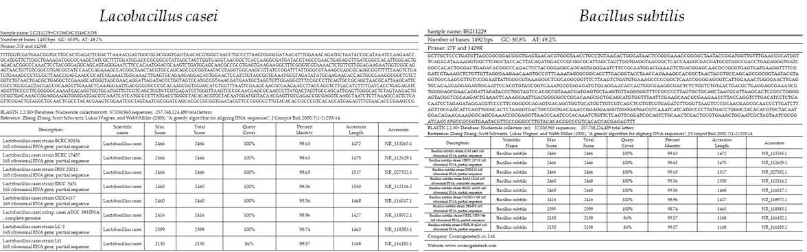 Microbial identification by 16s ribosomal RNA sequencing