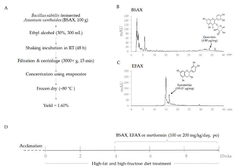 약물추출방법, HPLC 및 동물 실험 디자인